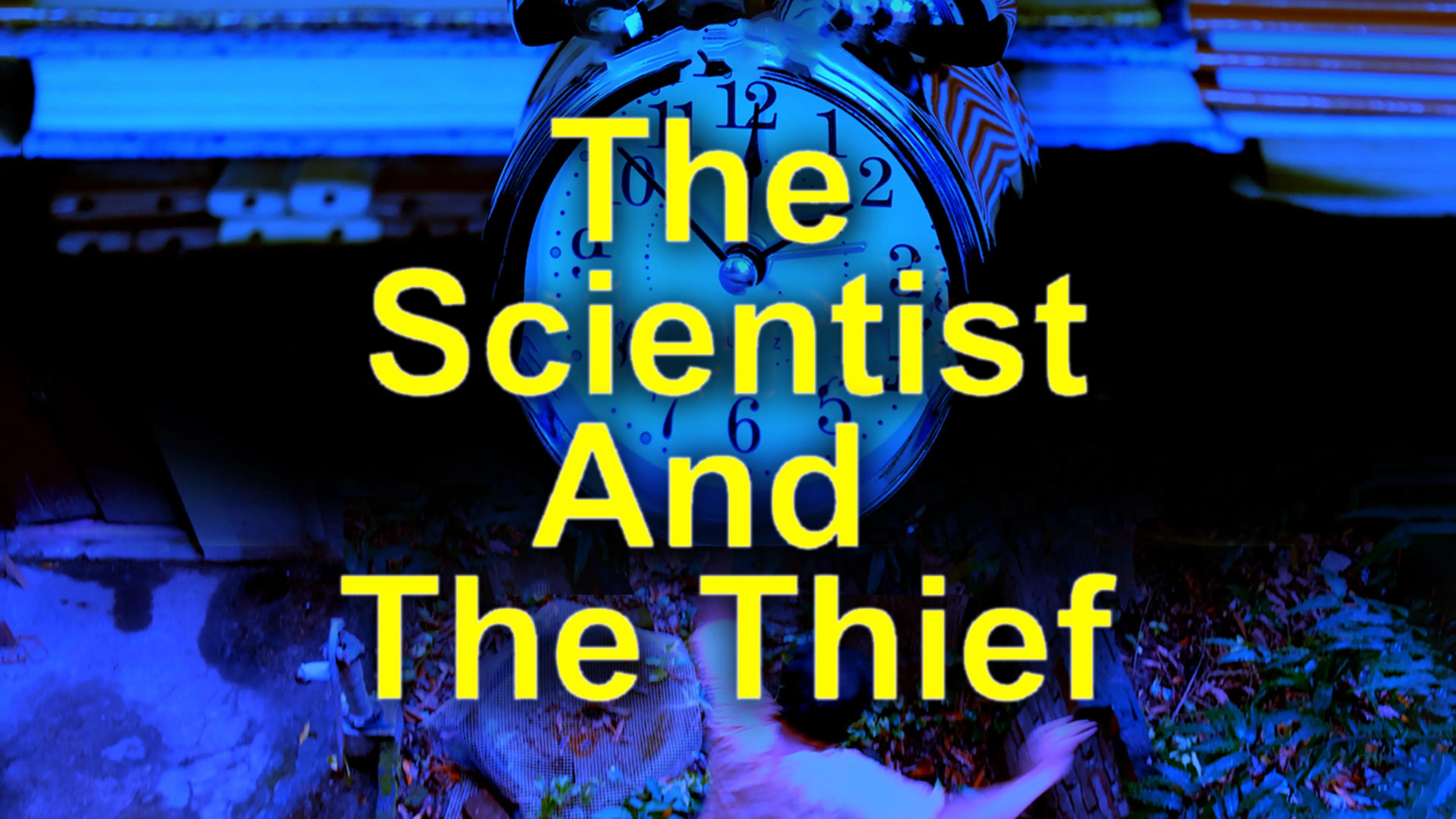 The Scientist And The Thief poster